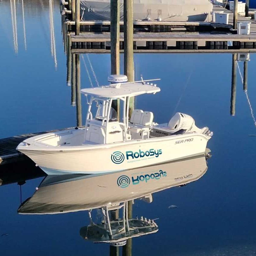 Robosys_Pioneer
